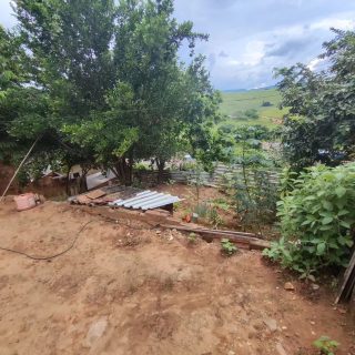 Snapinsta.app_432017120_372551699015825_7962364053943066542_n_1080