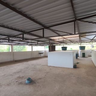 VENDE-SE+APARTAMENTO(AMPLO)+-+BAIRRO+CEL+JOAQUIM+LOPES+(FORMIGA)-+R$260,000,00+.++Apartamento+no+1+andar++composto+uma+vaga+de+garagem+coberta,+sala,+cozinha,+área+de+serviço,+três+quartos+sendo+uma+suíte,+b (9)