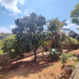 WhatsApp Image 2023-11-17 at 12.48.11 (2)